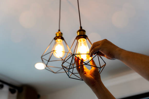 Best Licensed Electrician  in Fort Thompson, SD